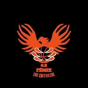 Fénix Disa Puertito de Güimar